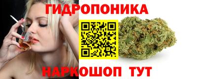 а пвп мука Ачхой-Мартан