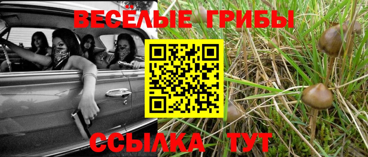 Азнакаево  Галлюциногенные грибы мухоморы  Вход с VPN 