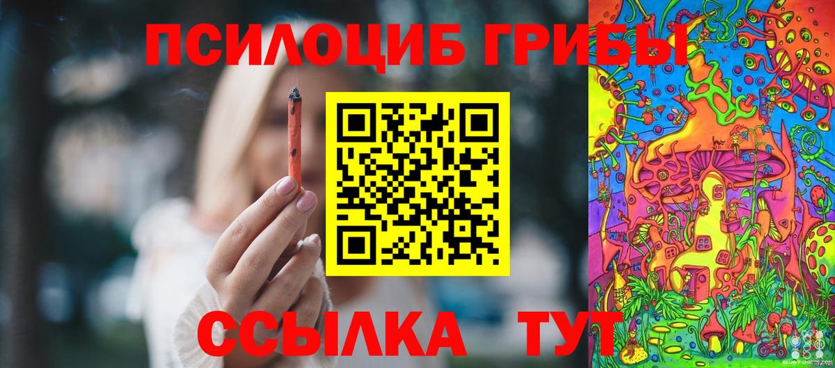 Псилоцибиновые грибы мицелий Азнакаево