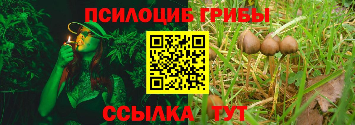 наркота  Азнакаево  Галлюциногенные грибы Psilocybe 